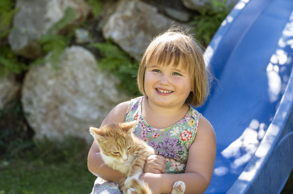 Katzen zum Kuscheln